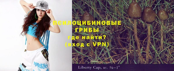 PSILOCYBIN Богородицк