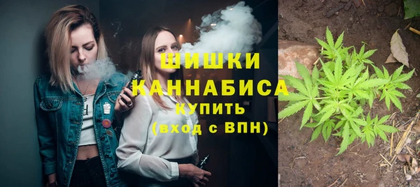 PSILOCYBIN Богородицк