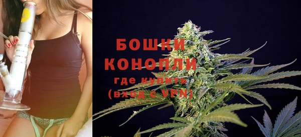 PSILOCYBIN Богородицк
