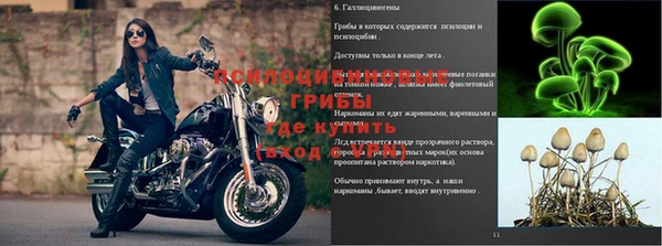 трава Богородск
