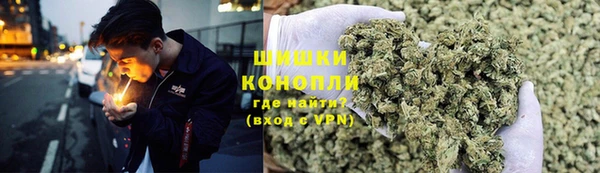 PSILOCYBIN Богородицк