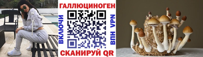 Псилоцибиновые грибы Magic Shrooms  Шахты 